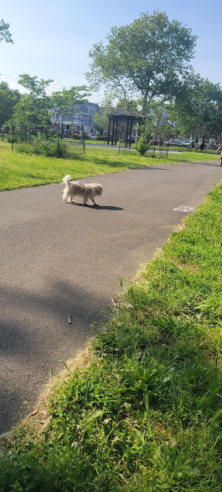 Amersfort Park photo 4