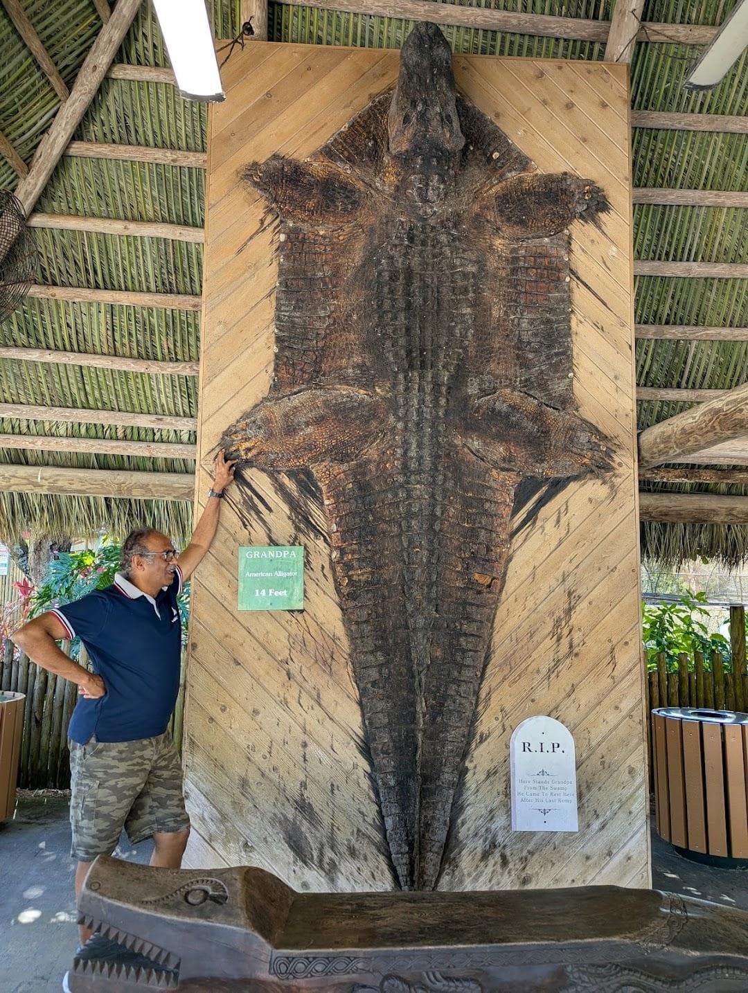 Everglades Alligator Farm photo 4