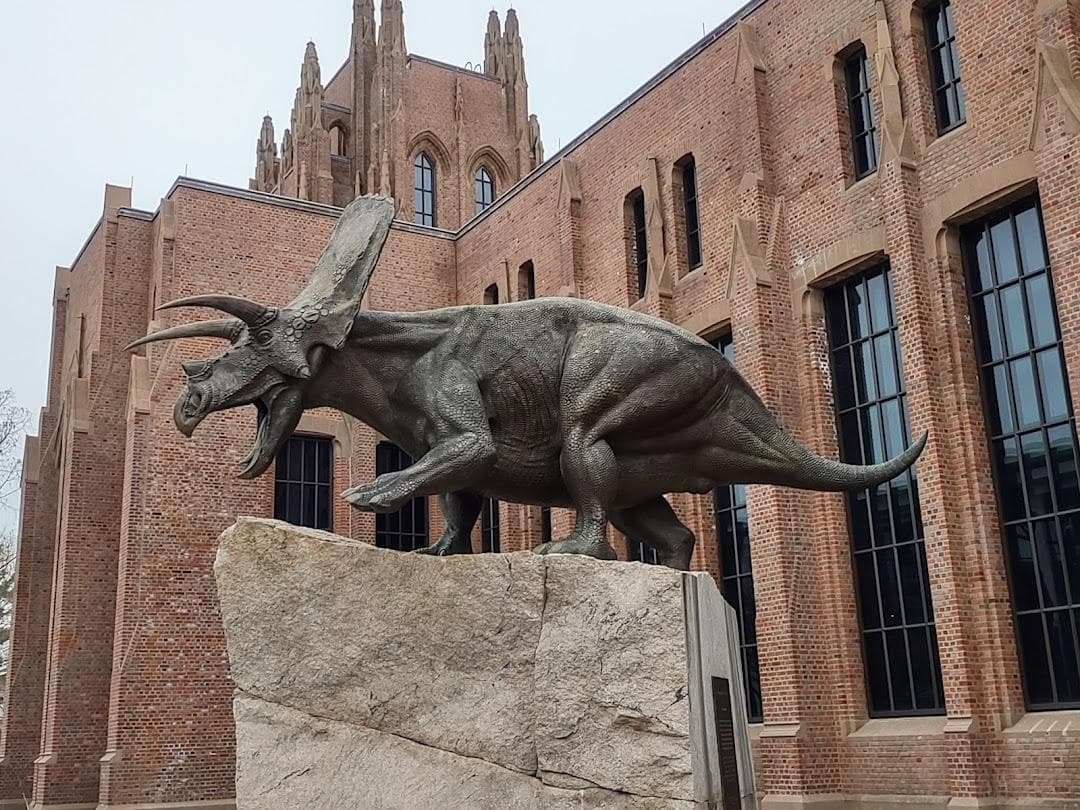 Yale Peabody Museum photo 4
