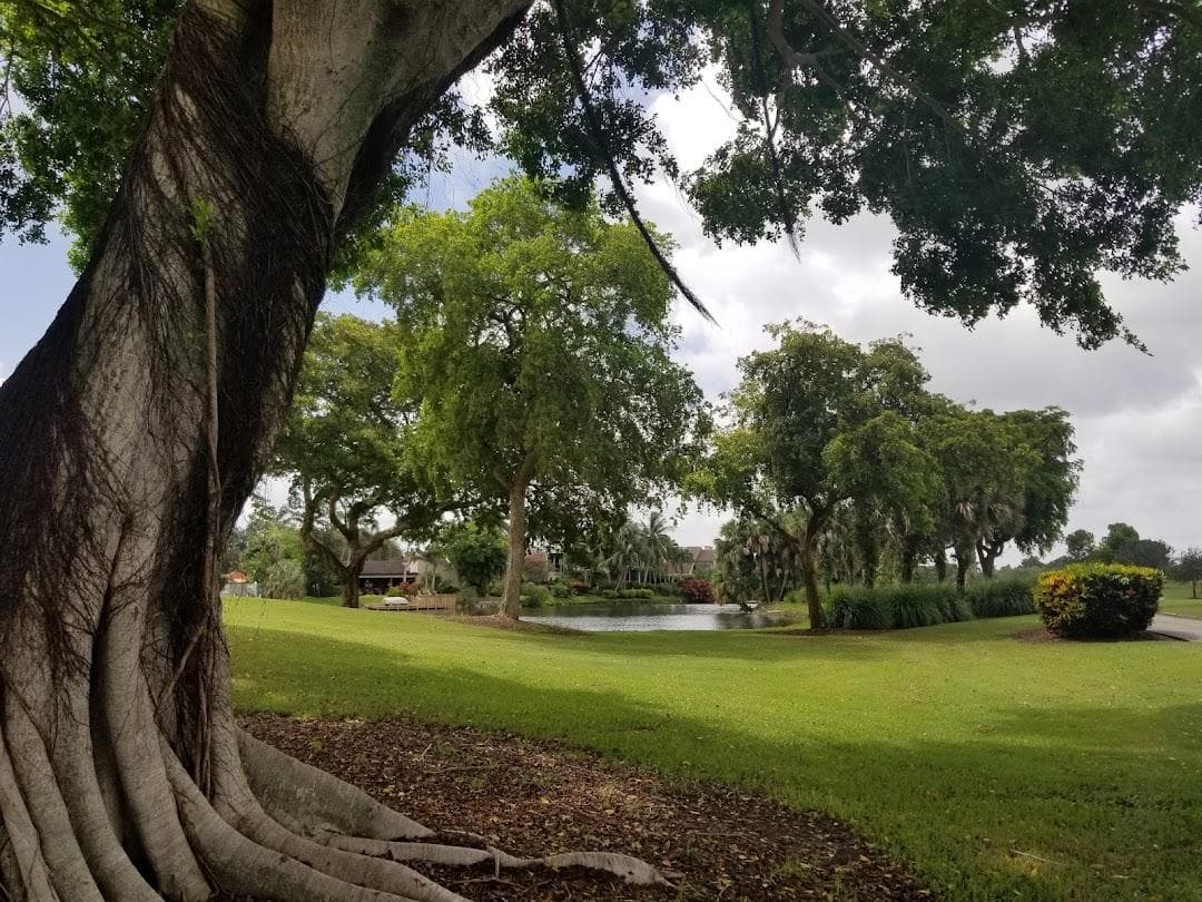 Jacaranda Golf Club photo 4