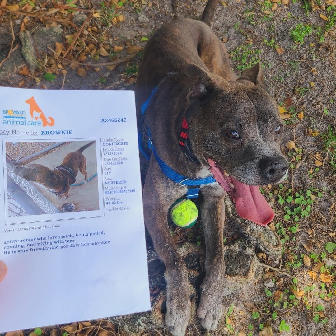 Humane Society of Broward County photo 1