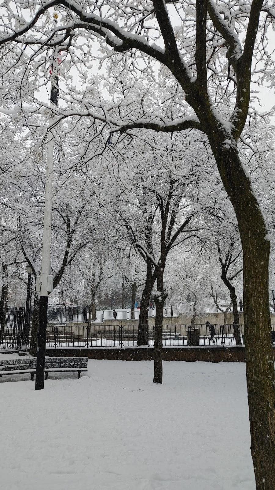 Arthur J. Katzman Playground photo 5