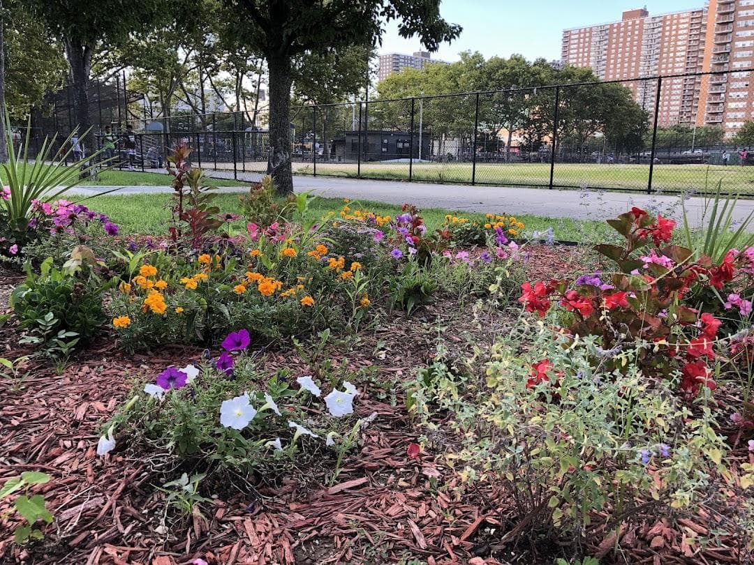 Brigadier General Charles Young Playground photo 5