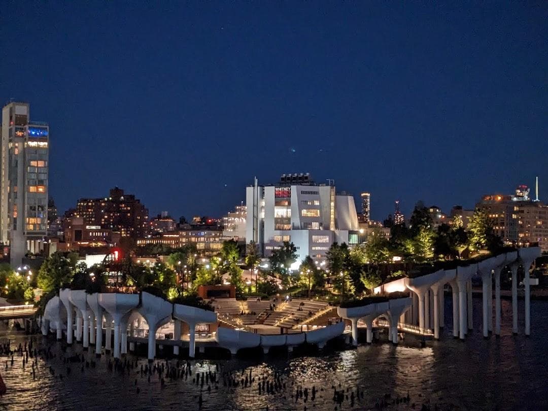 Pier 57 Rooftop Park photo 5