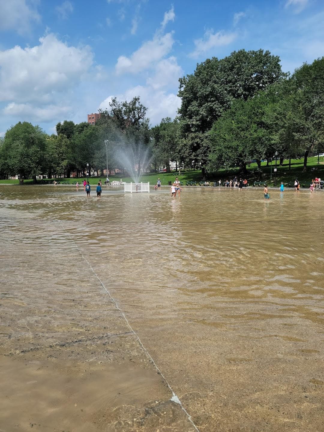 Boston Common Frog Pond photo 6