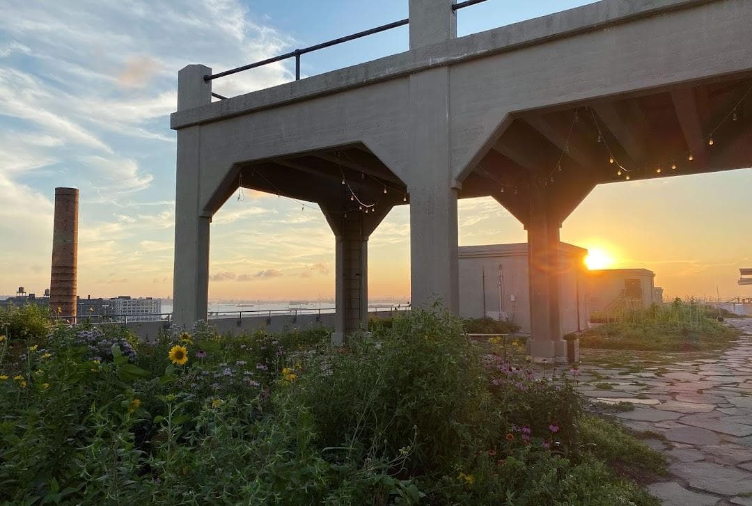 Brooklyn Grange @ Sunset Park photo 5