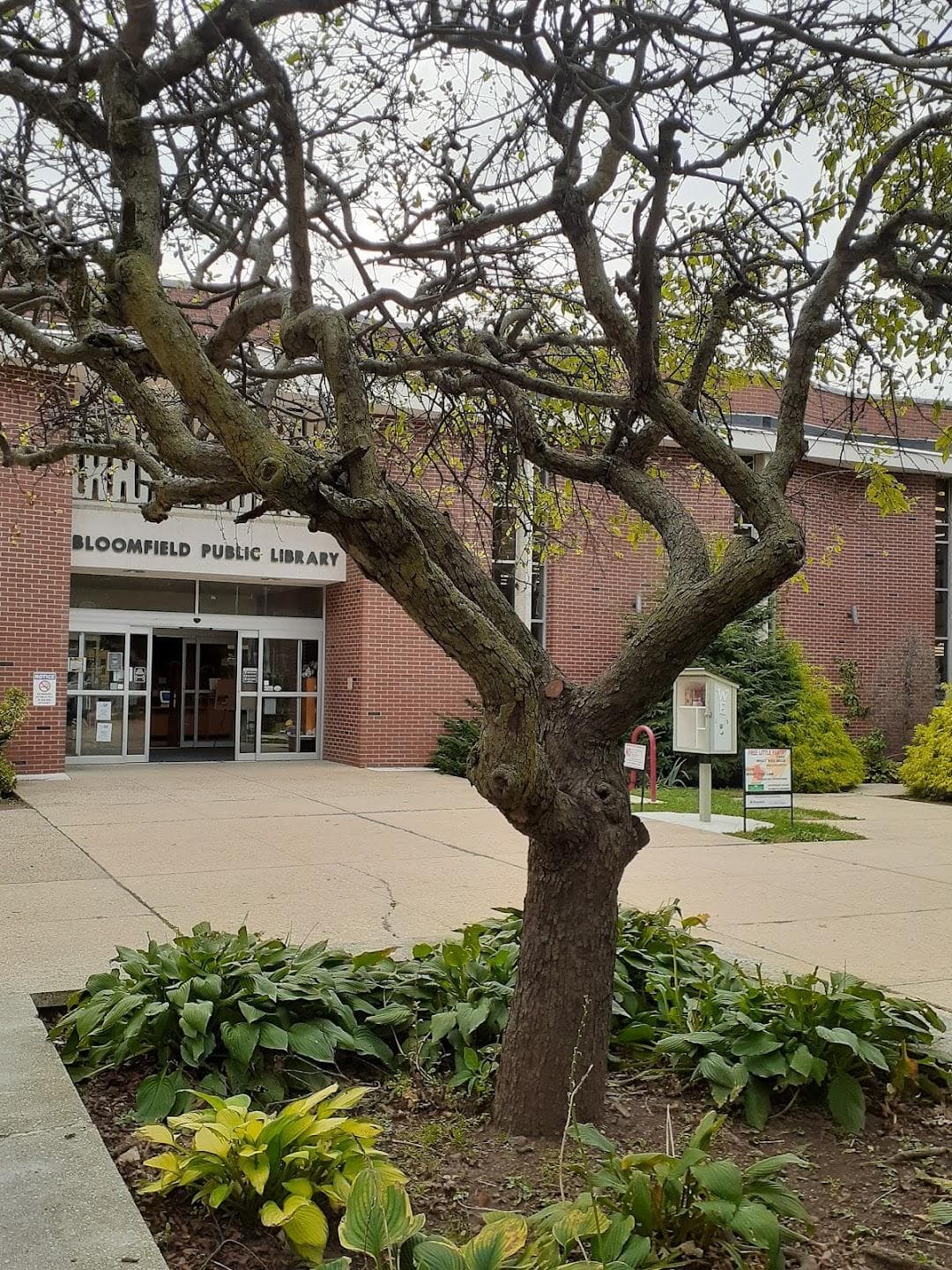 Bloomfield Public Library photo 5