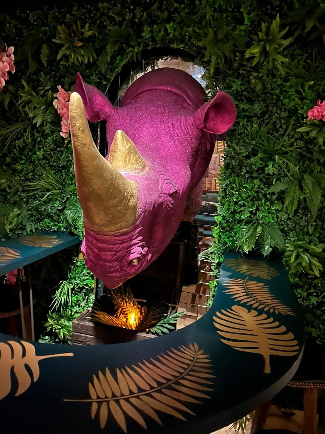 Ra-Ra Rhino photo 1