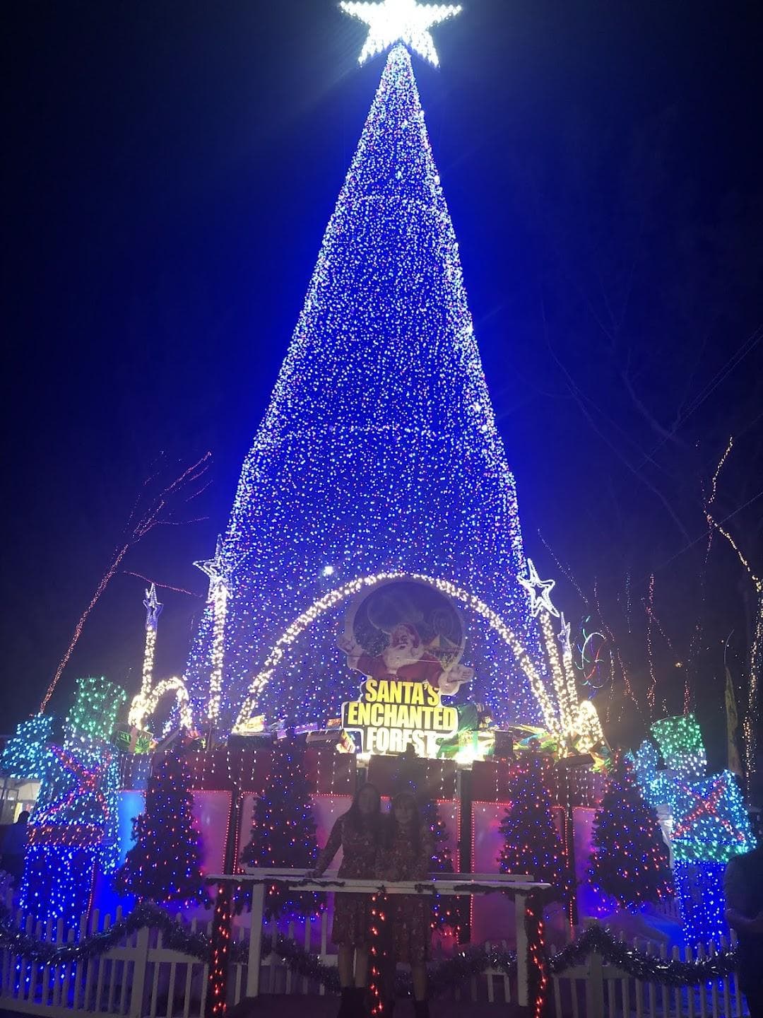Tropical Park photo 3