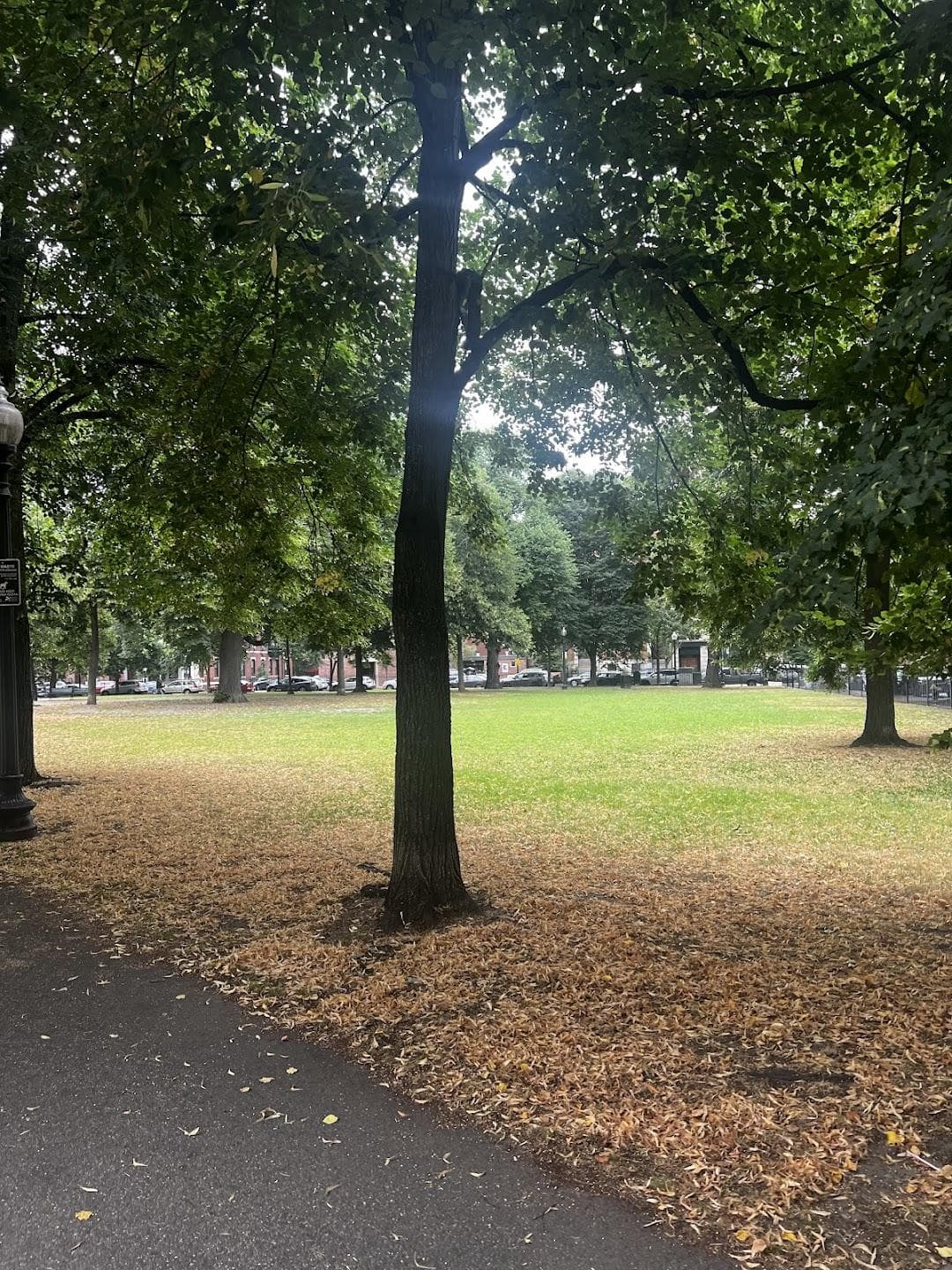 Blackstone Square photo 2