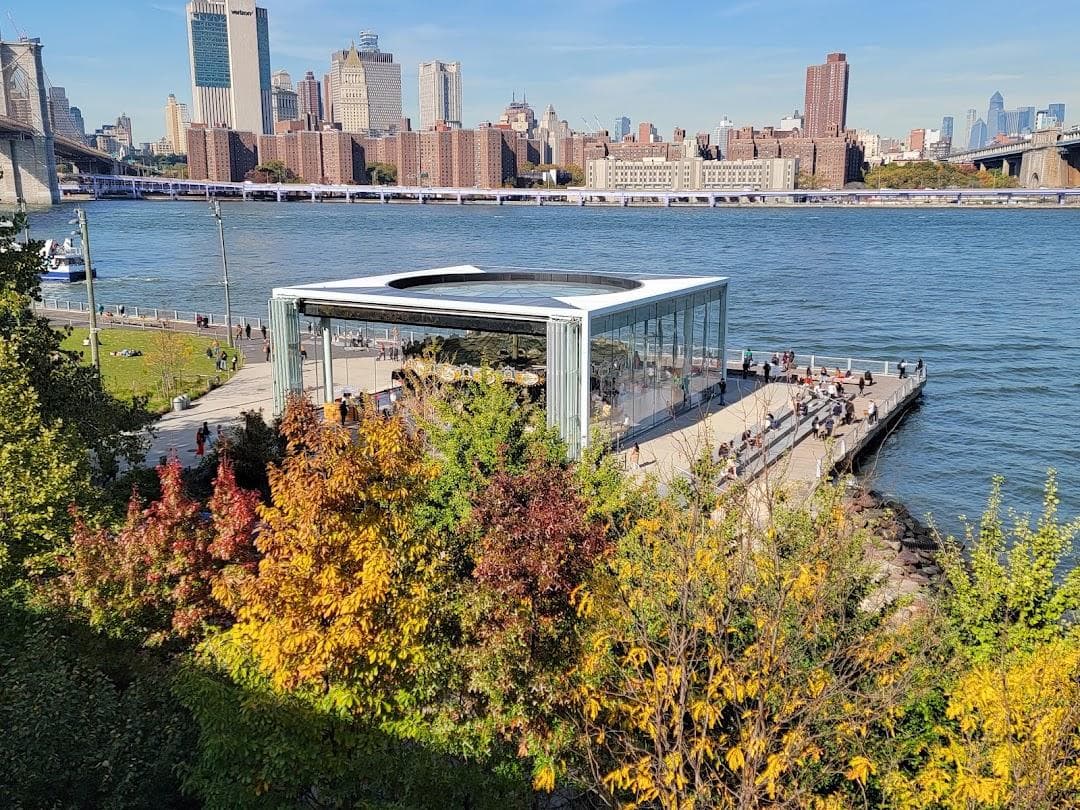Dumbo photo 5