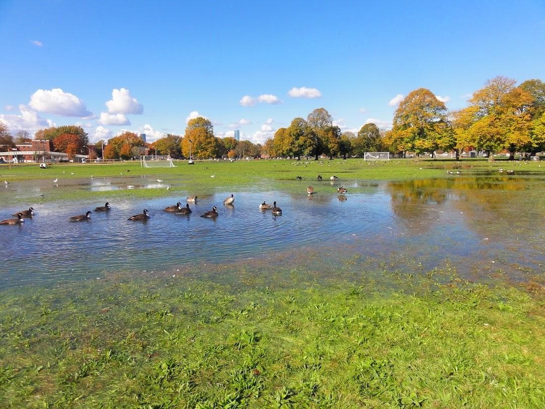 Joe Moakley Park photo 2