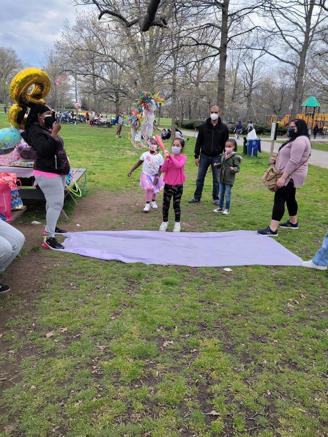 Springfield Playground photo 2