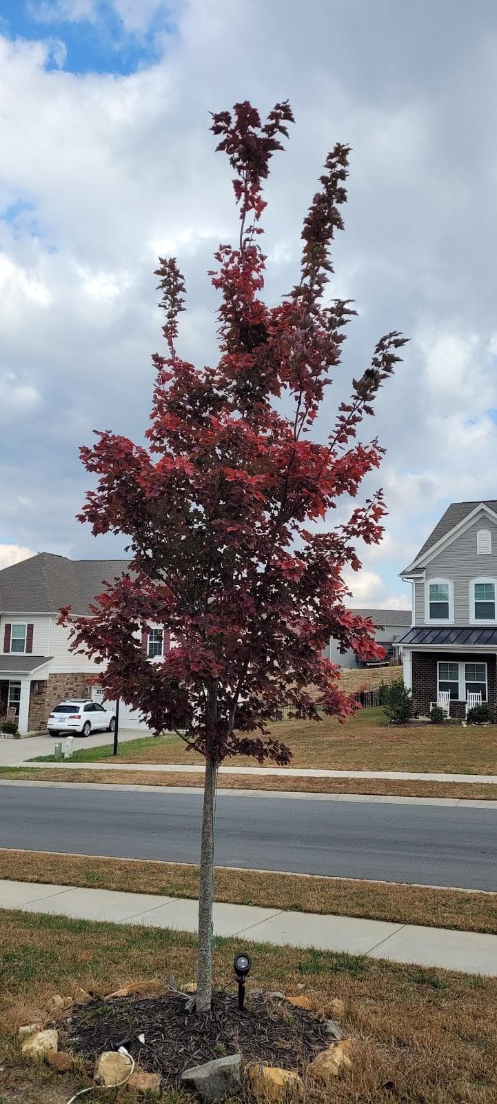 Huntersville photo 3