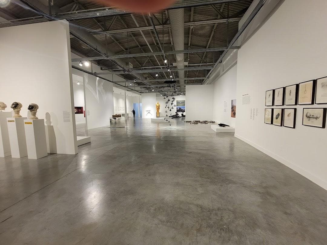 Museum of Contemporary Art, North Miami photo 2