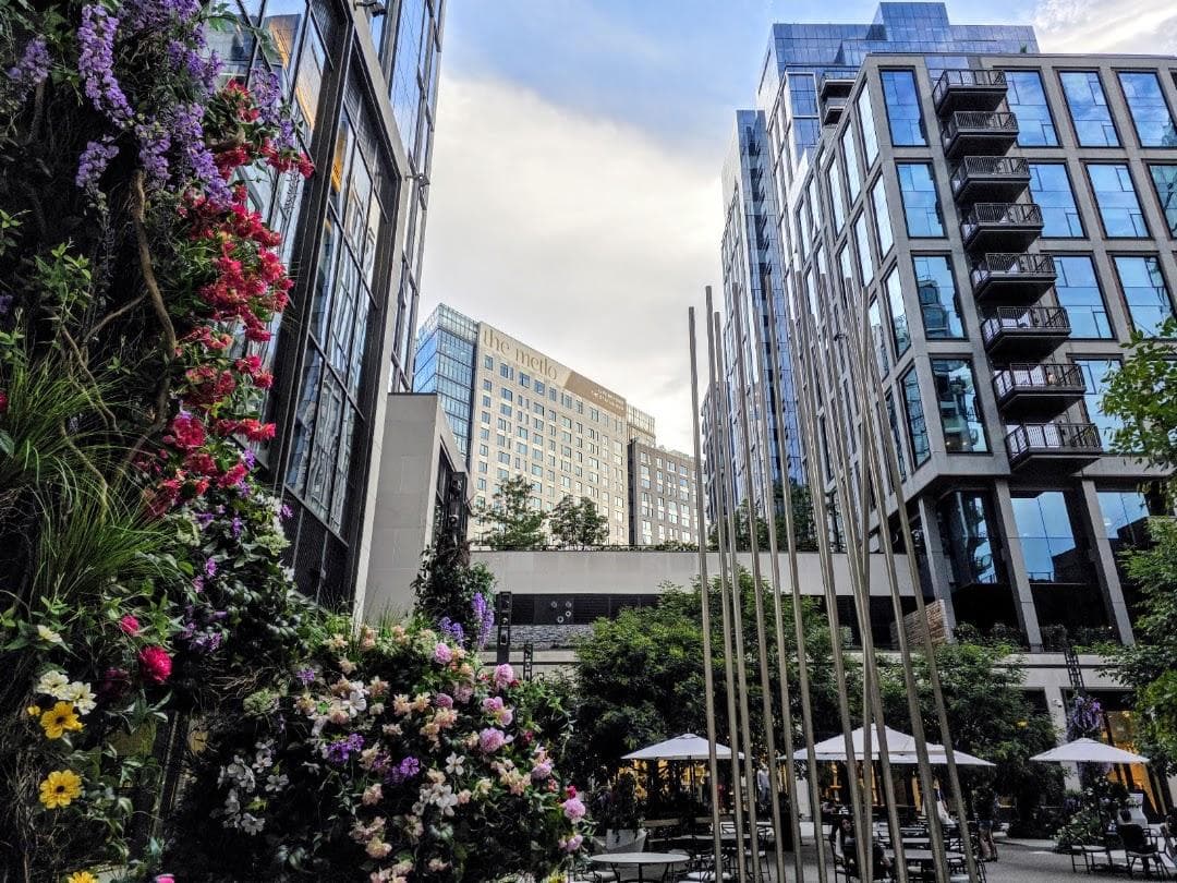 The Superette Courtyard photo 4