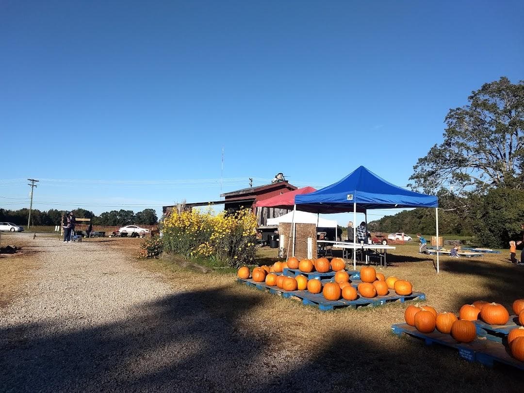 Hodges Family Farm & Pumpkin Patch - main location photo 4
