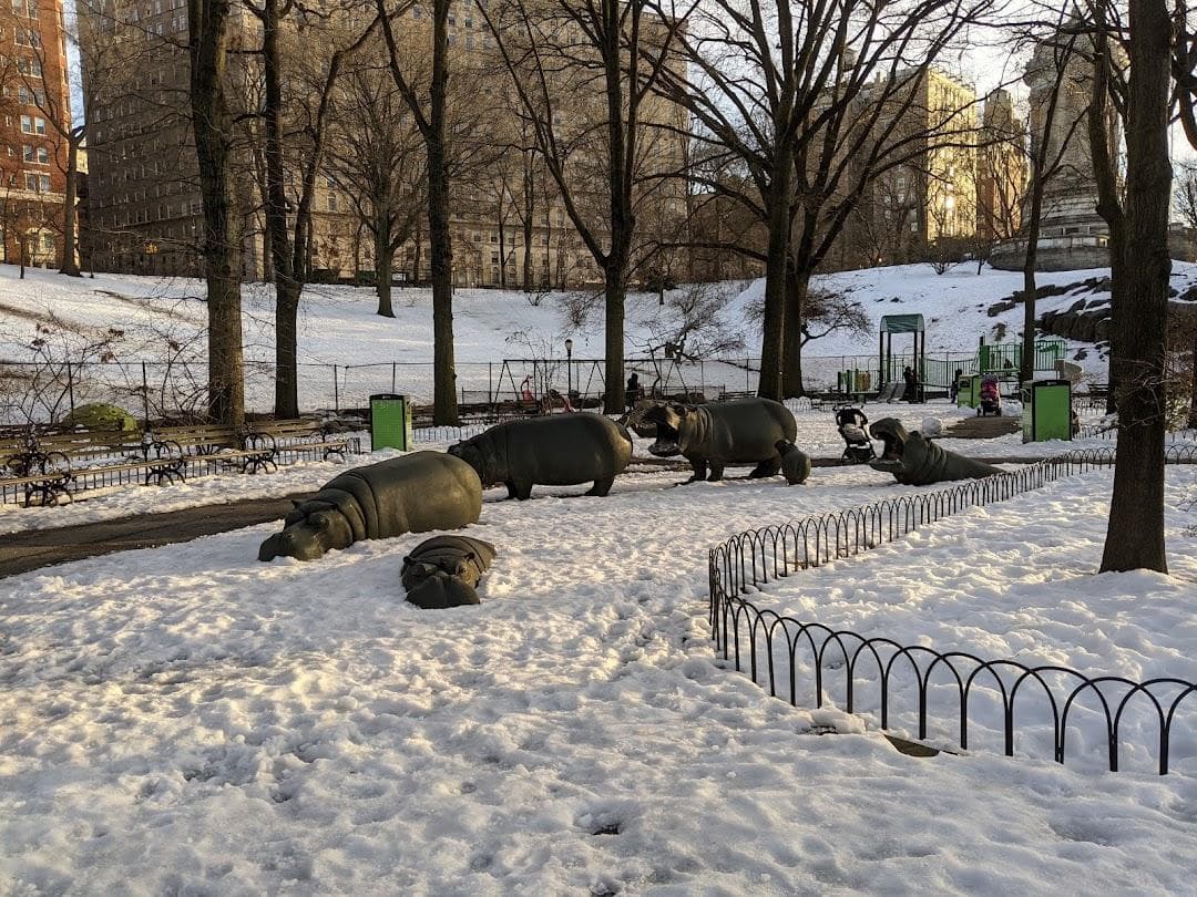 Hippo Playground photo 2