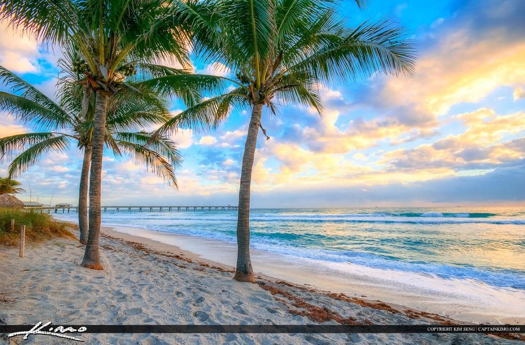 The City of Dania Beach photo 2