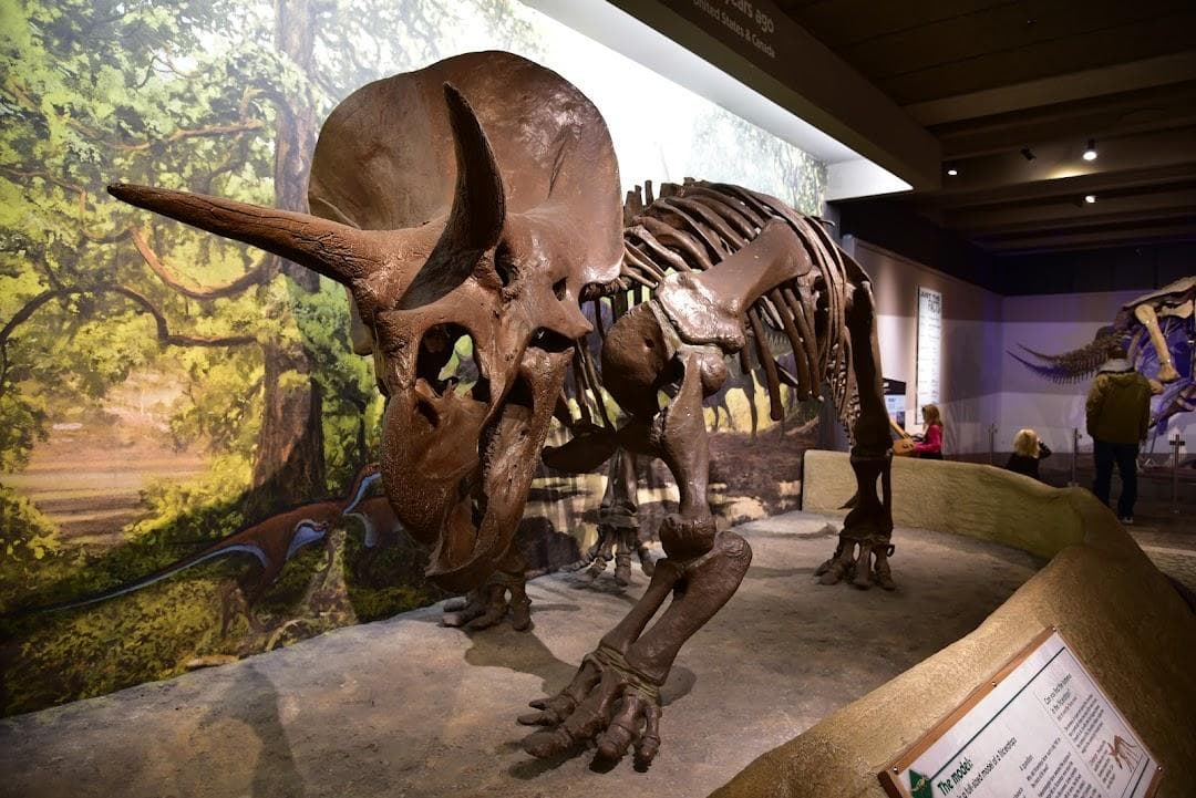 Museum of Science photo 2