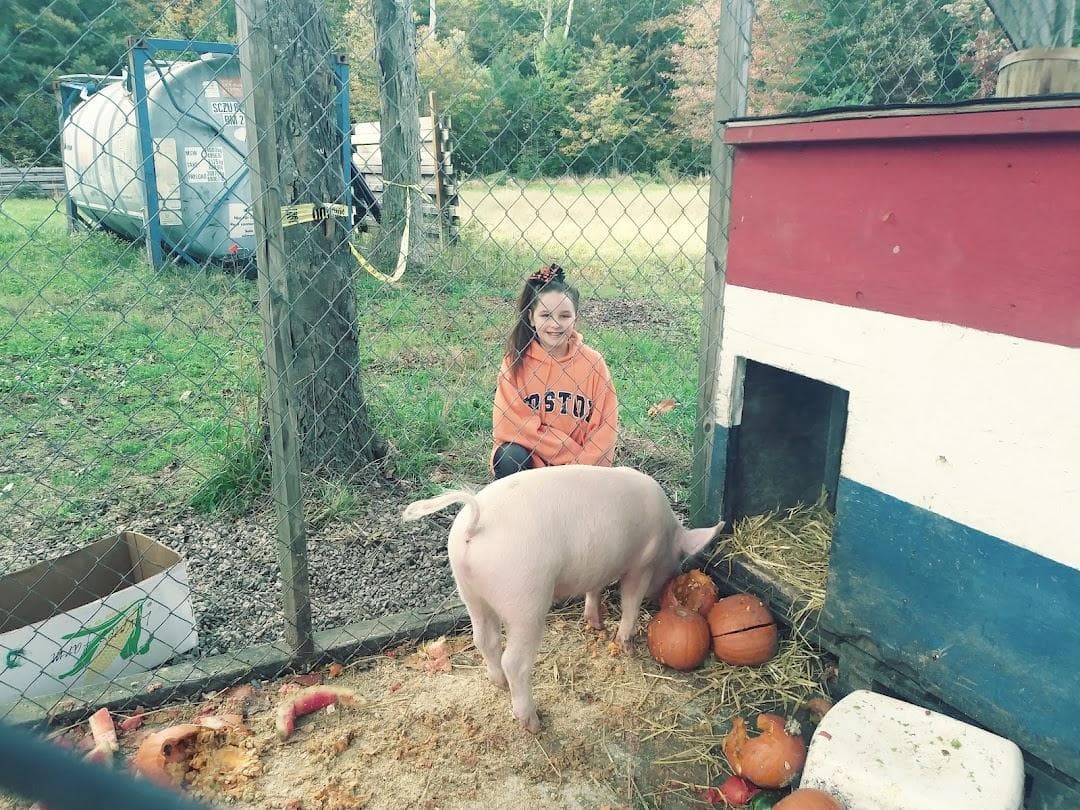Nihtila Farm photo 2