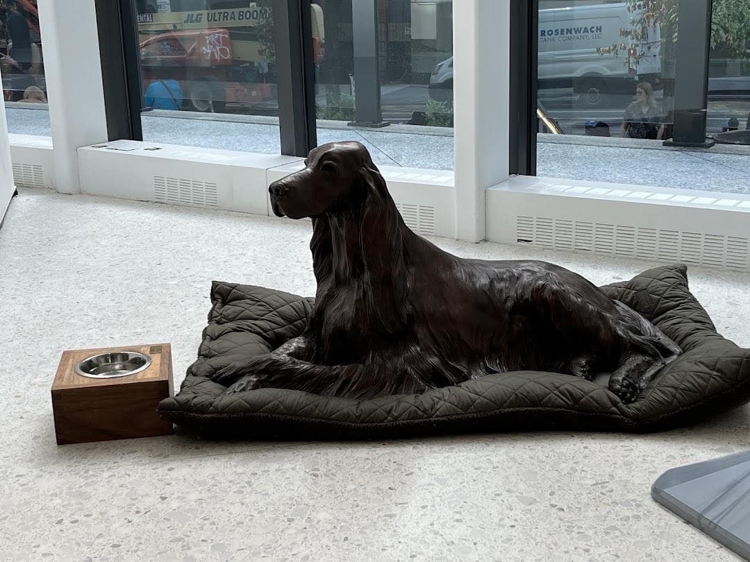 AKC Museum of the Dog photo 1