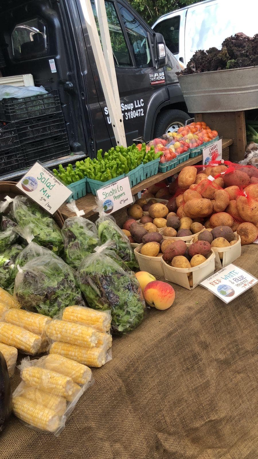 Brookline Farmers' Market photo 3