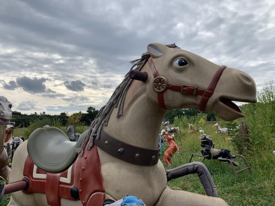 Ponyhenge photo 1