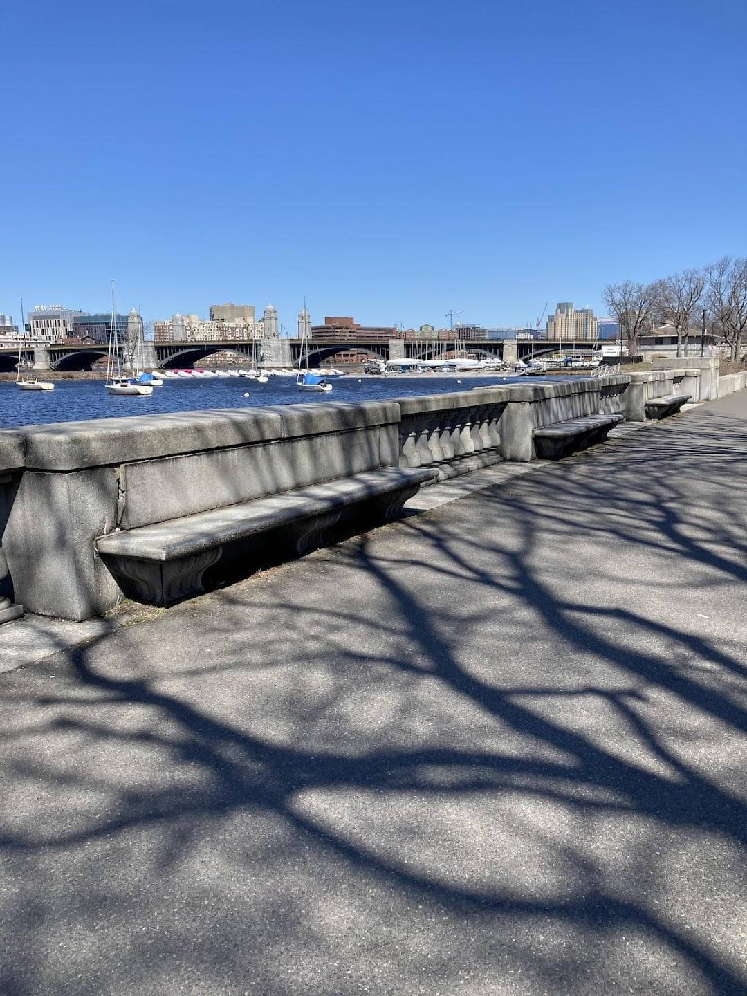 Dock by Hatch Shell photo 2
