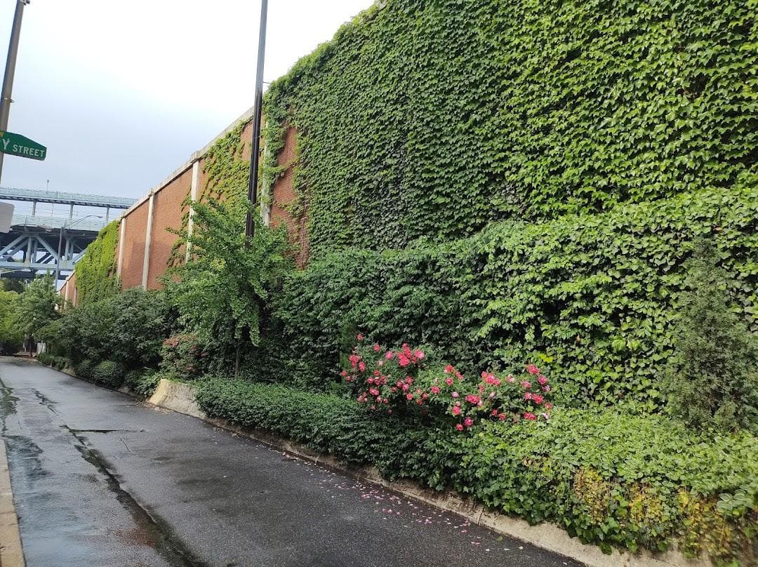 Elfreth's Alley photo 1