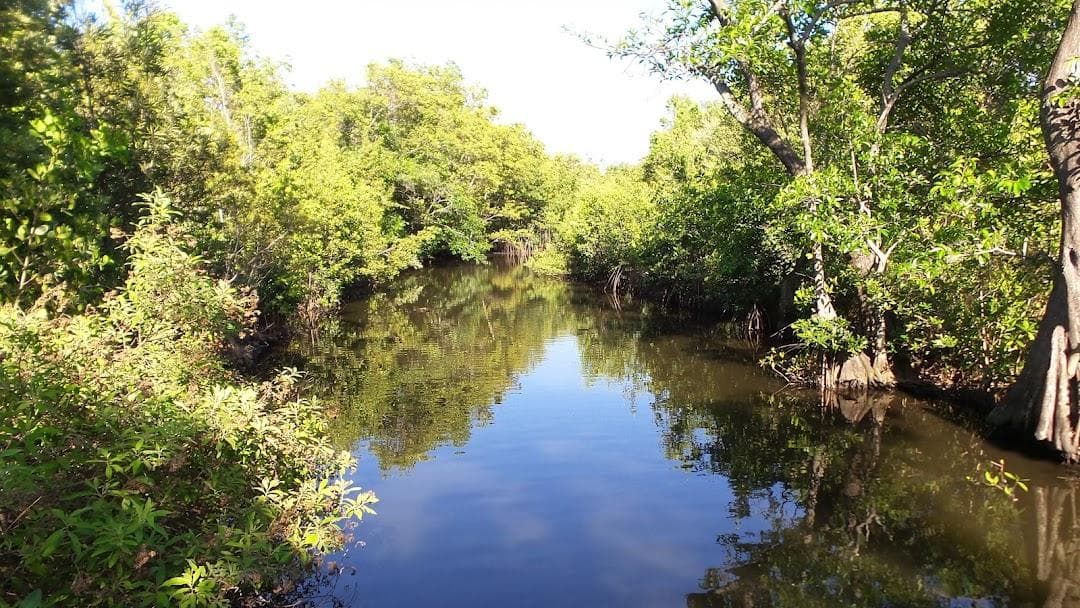Highland Oaks Park photo 1
