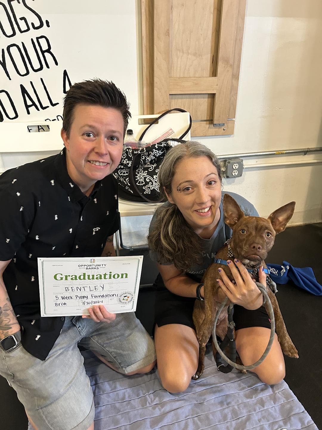 Opportunity Barks Behavior & Training photo 5