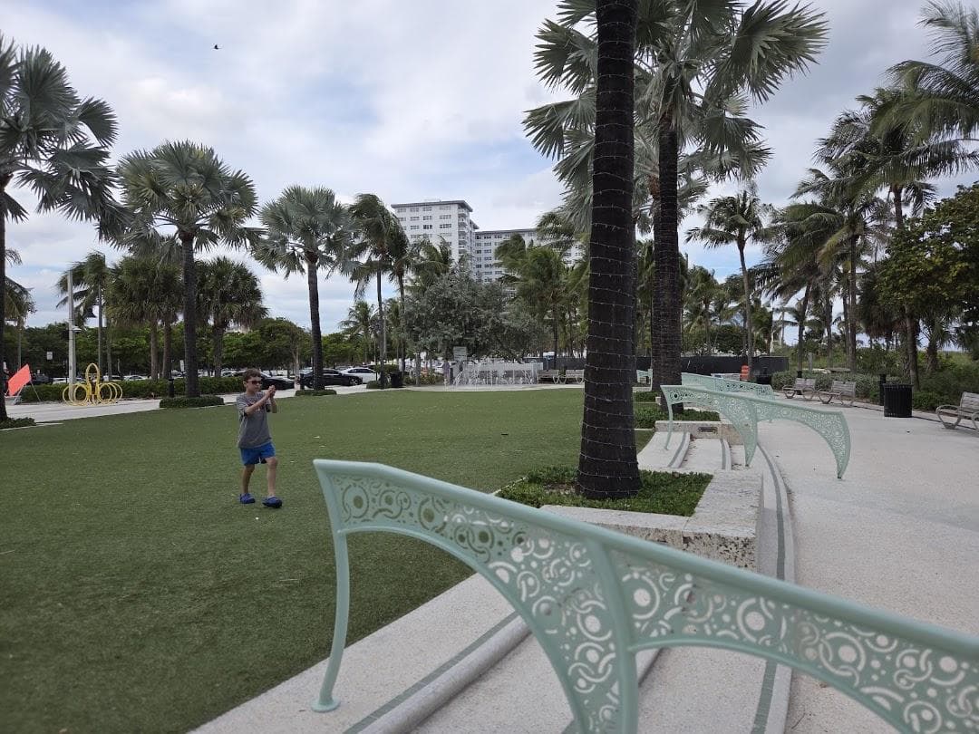 The Great Lawn photo 6