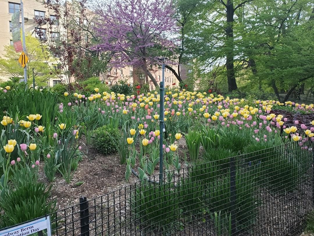 Anne Loftus Playground photo 6