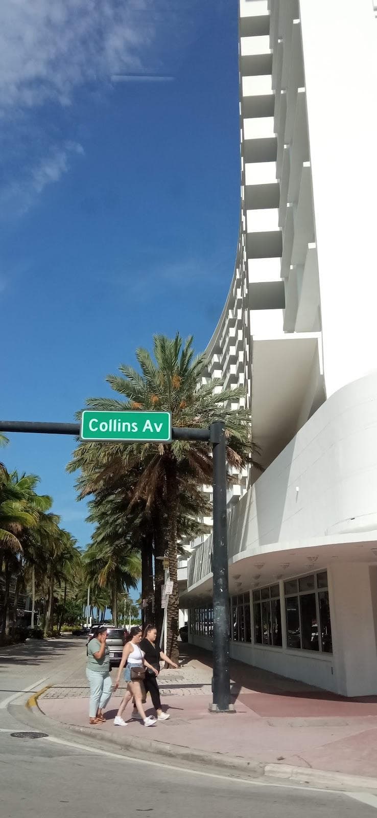 South Miami photo 5