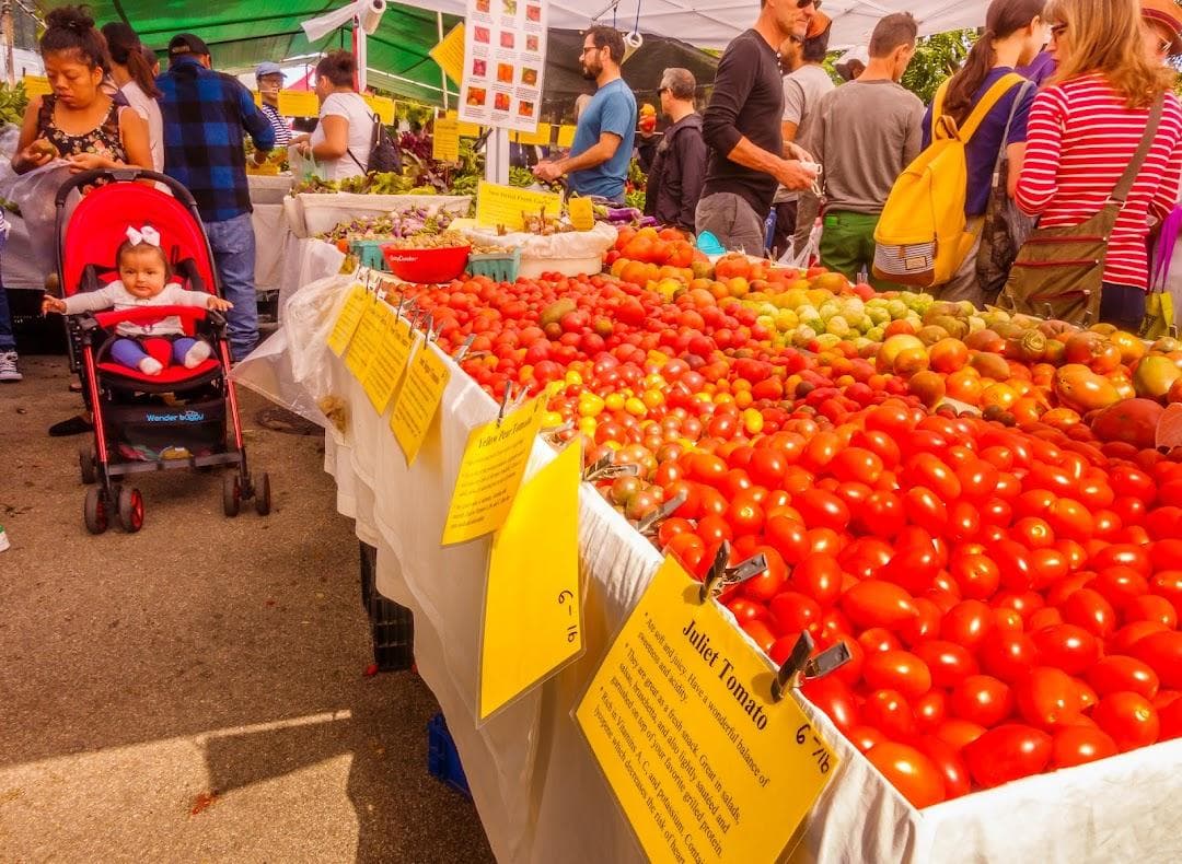 Jackson Heights Greenmarket photo 3