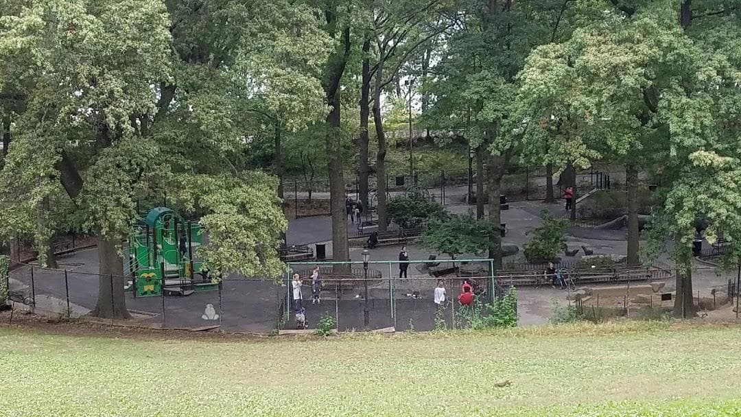 Hippo Playground photo 5