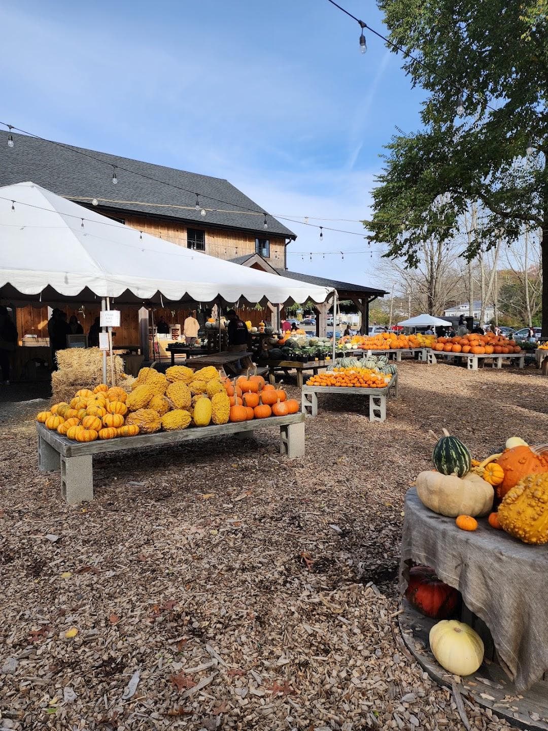 Langwater Farm photo 5