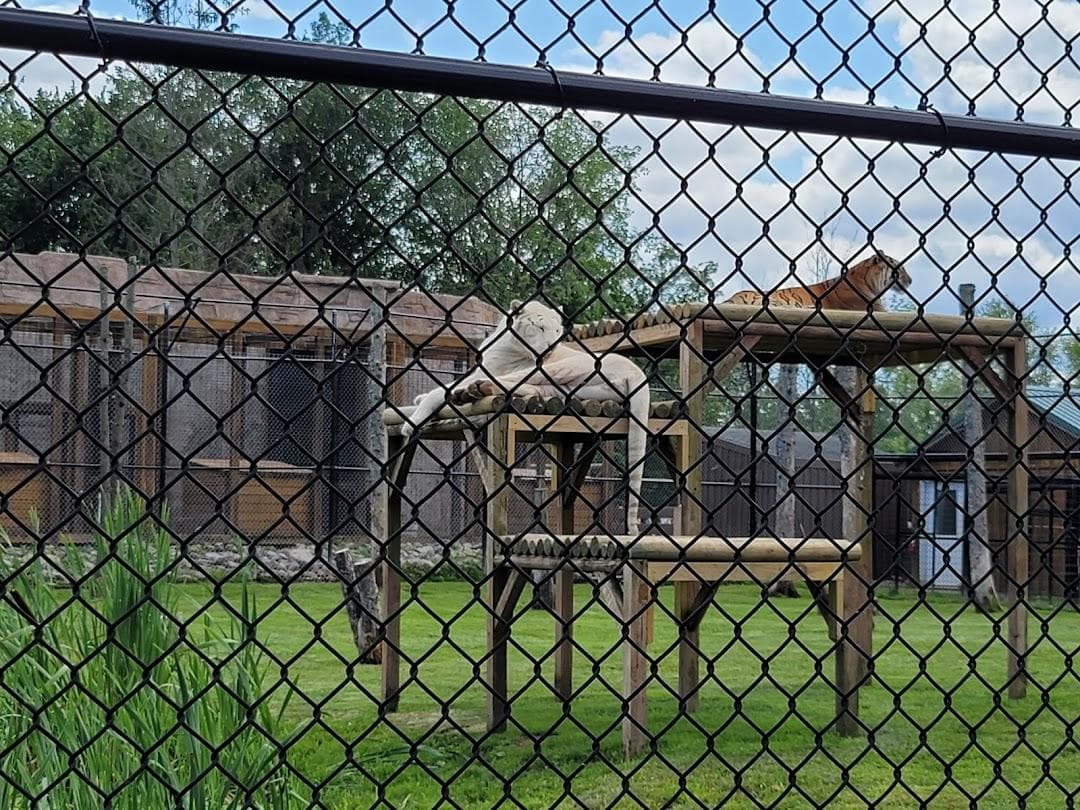 The Wild Animal Park photo 4