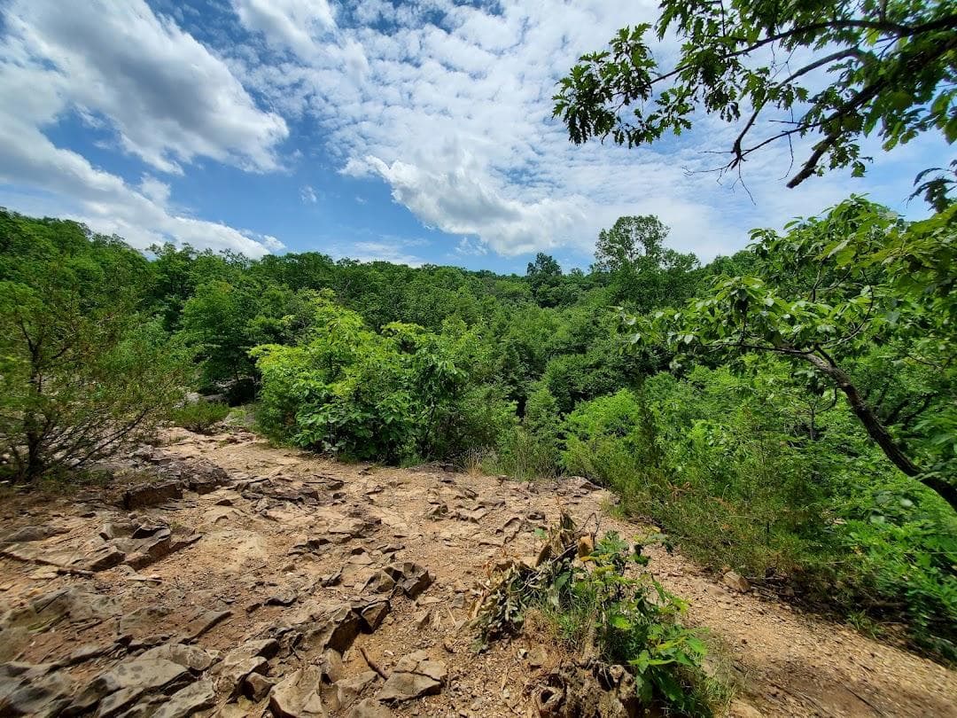 South Mountain Reservation photo 5