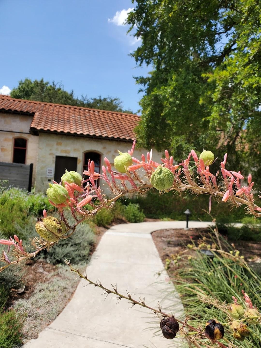 Garey Park photo 5
