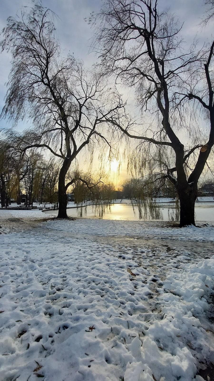 Bowne Park photo 3