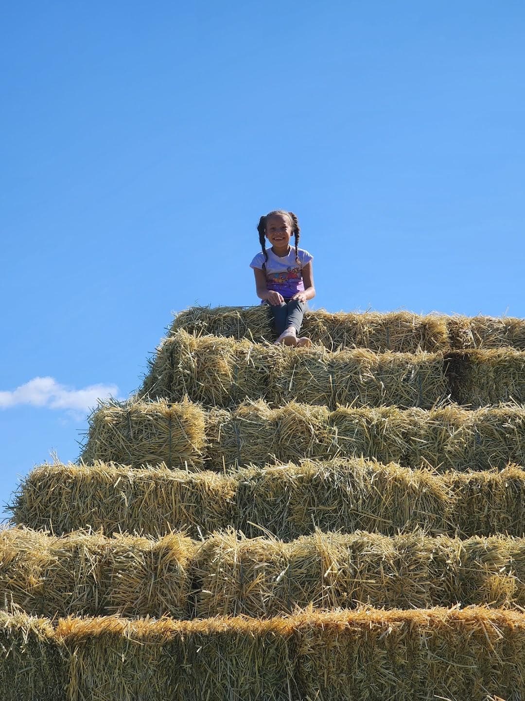 Langwater Farm photo 6