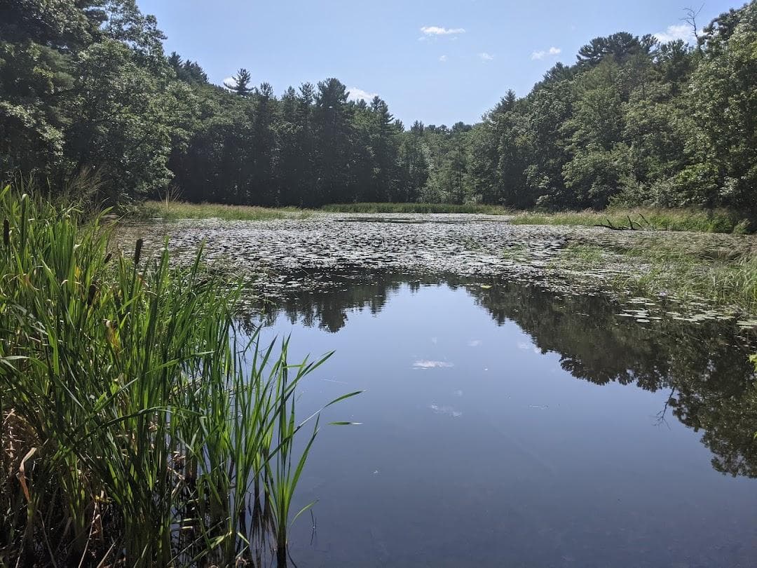 Hapgood Wright Town Forest - Fairyland Pond Parking photo 1