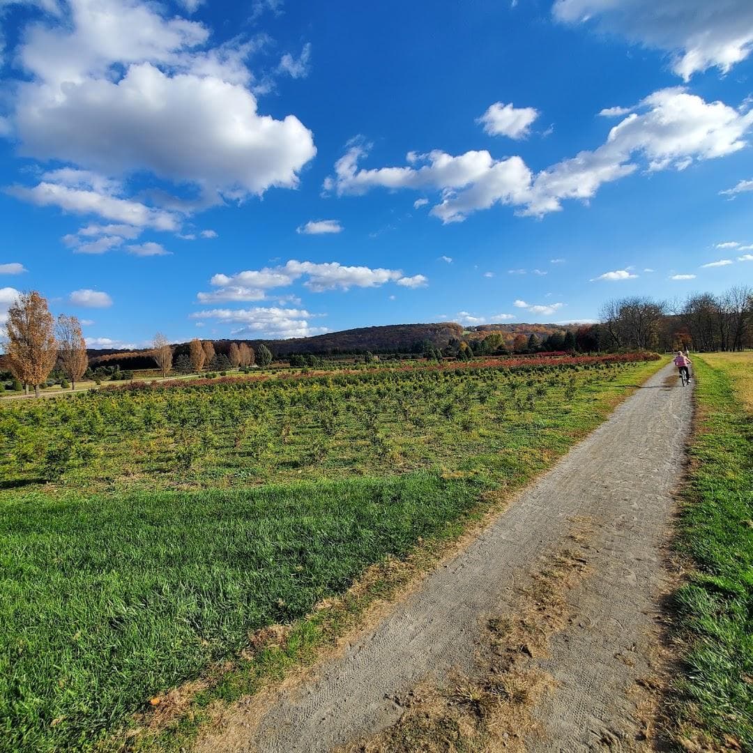 Califon Boro photo 1