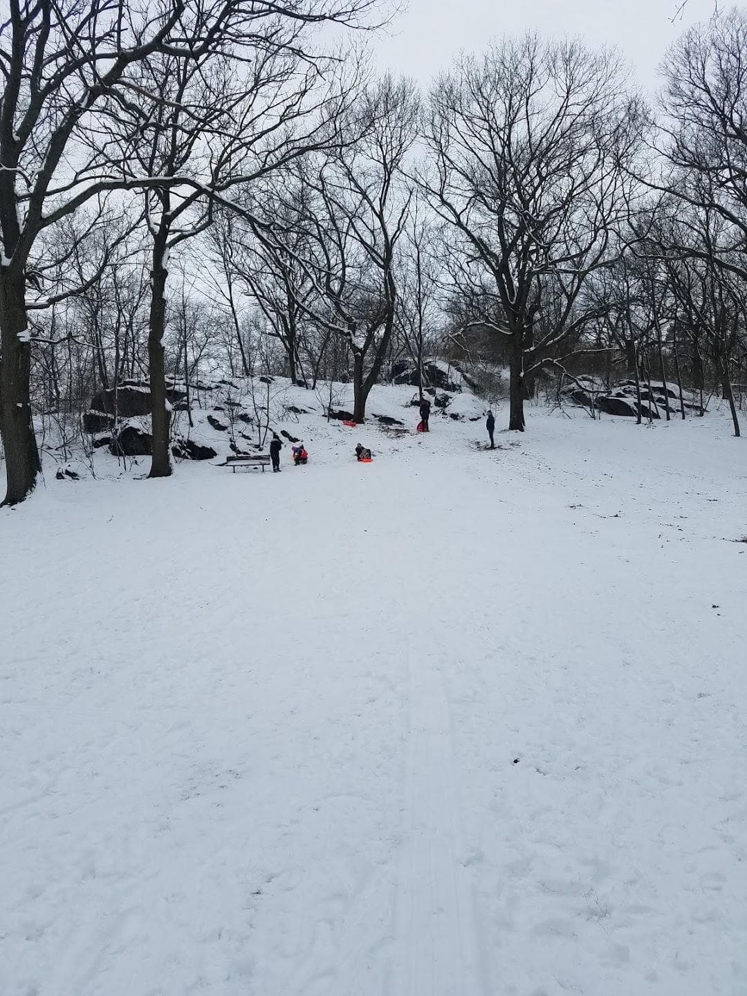 Savin Hill Park photo 3