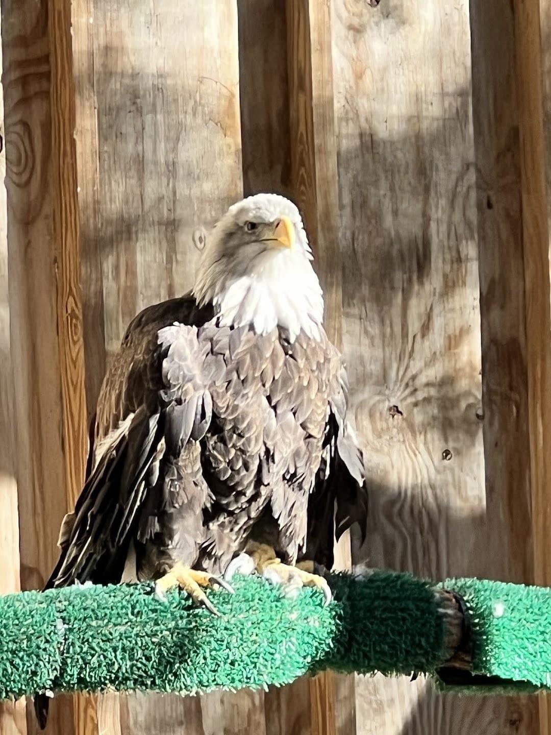 Woodford Cedar Run Wildlife Refuge photo 5