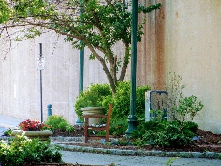 South Orange Village photo 6
