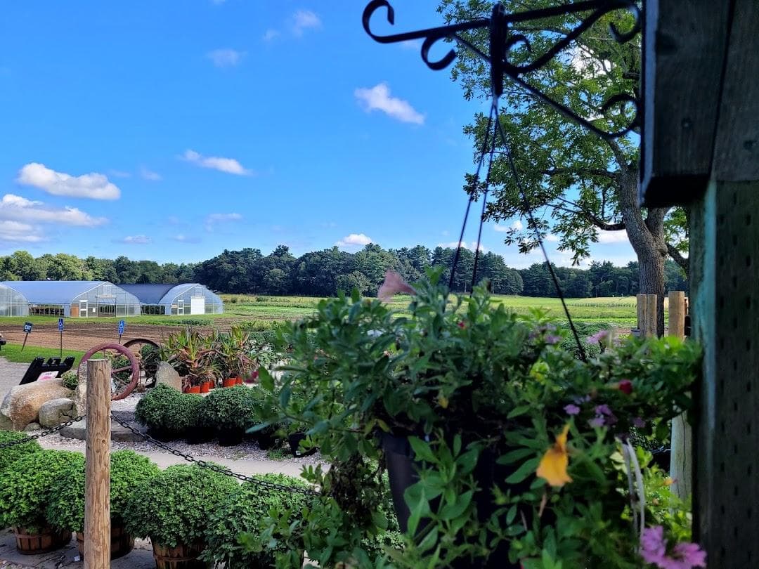 Tangerini's Spring Street Farm photo 2