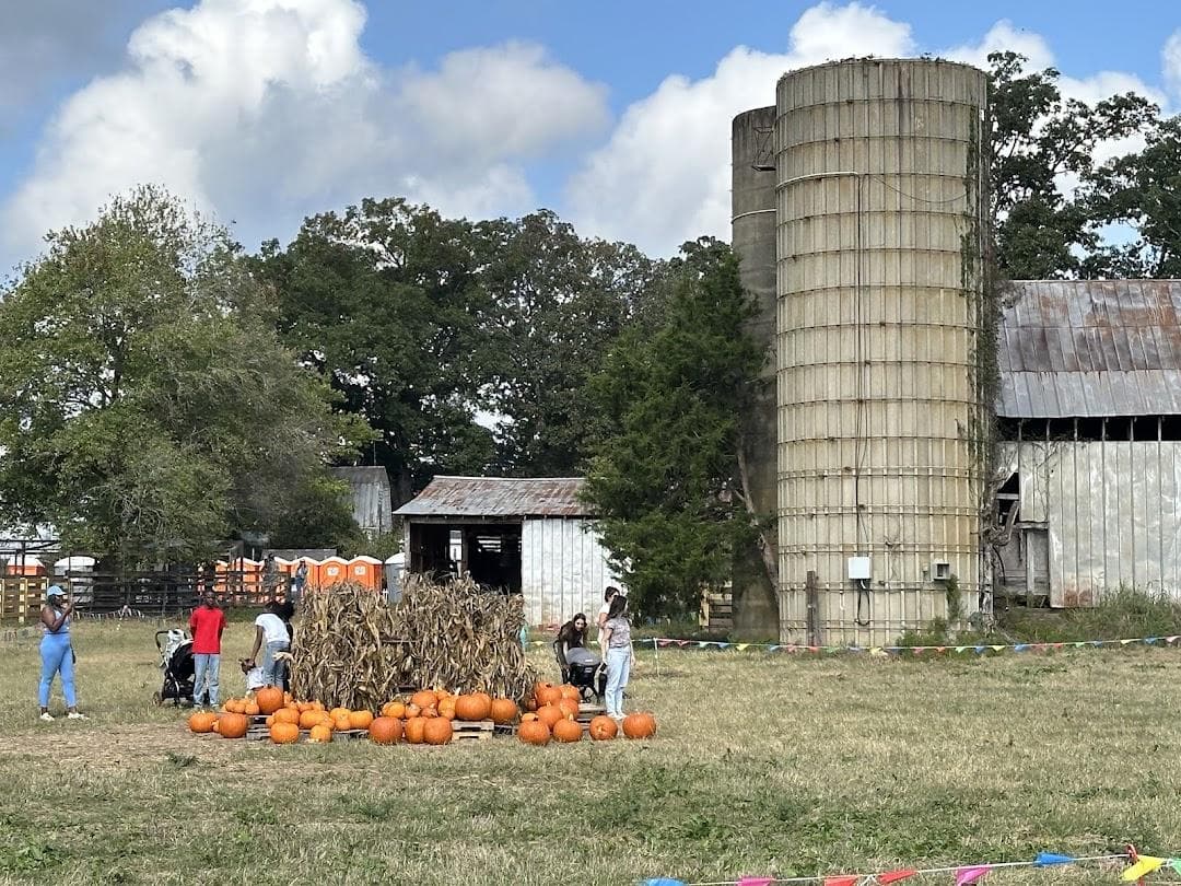 Hodges Family Farm & Pumpkin Patch - main location photo 2